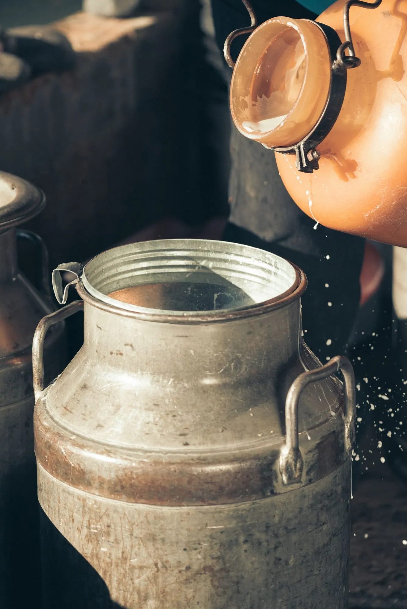 Frische Milch wird in eine Milchkanne gegossen